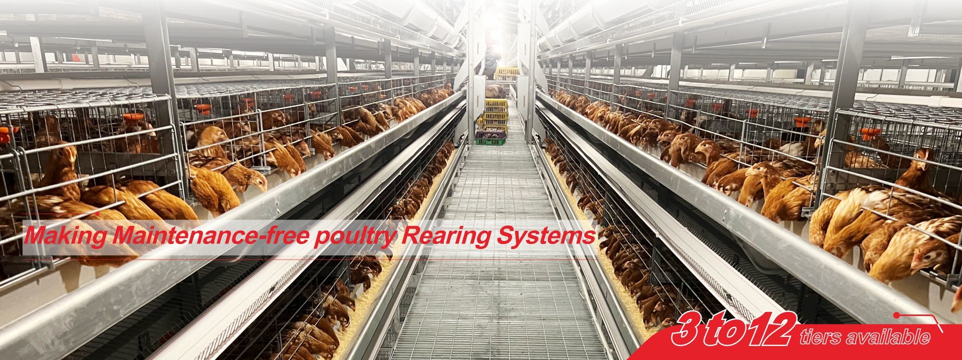 calidad Sistema de jaulas en batería para aves de corral fábrica