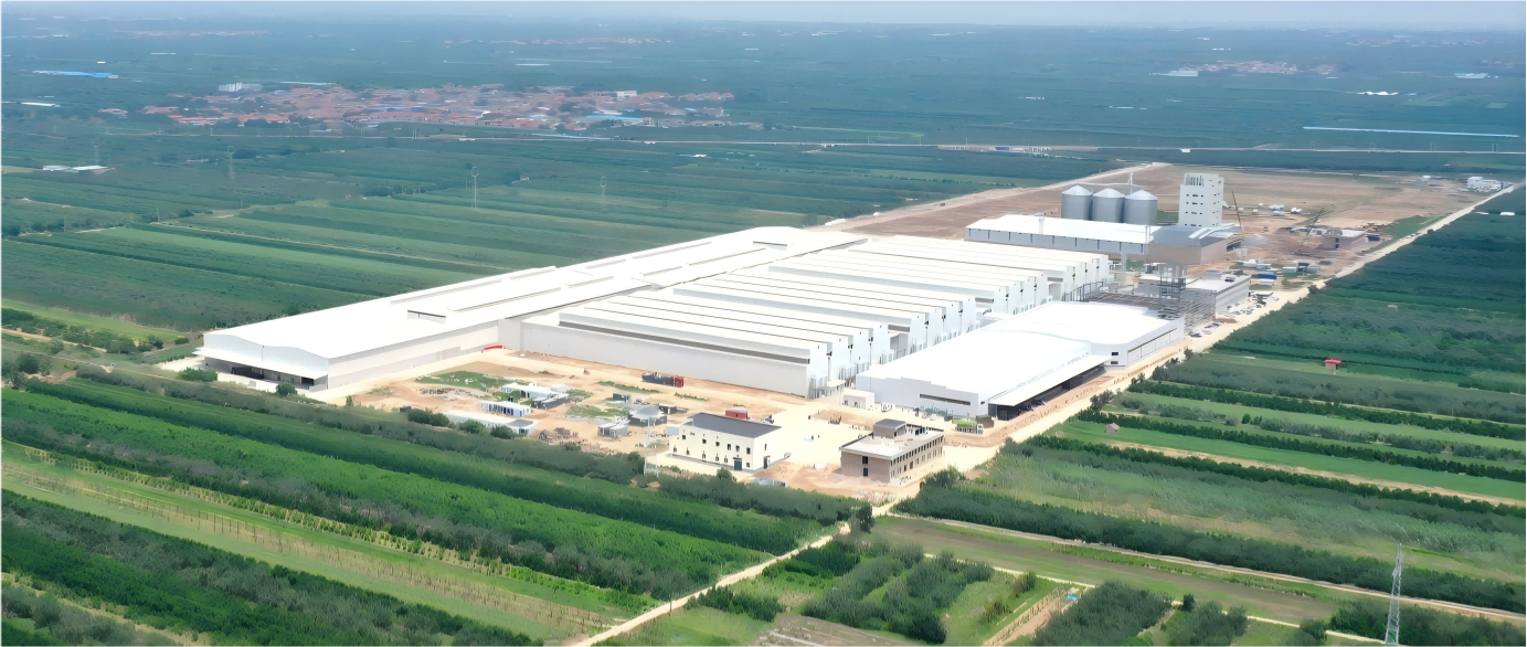 Proyecto de 8 millones de capas
