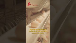 Robo de granja | Recolección estable de huevos con tasa de rotura del 0,2% #granjaavicola #pollo #productosdefabrica