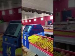 Farmrob 99,8% de precisión Contador de huevos inteligente 25W 220V 50HZ ISO9001 aprobado