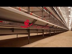 Robo de granja | Equipo de cría para apareamiento natural de pollos.