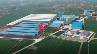 Robo de granja | 3 millones de granjas de ponedoras en Shandong
