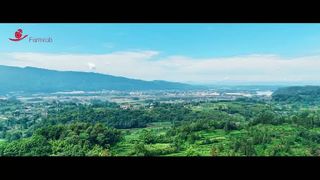 Robo de granja | Proyecto de 1 millón de capas en Sichuan