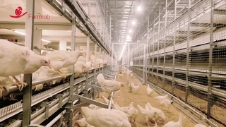 Sistema de bienestar agrícola