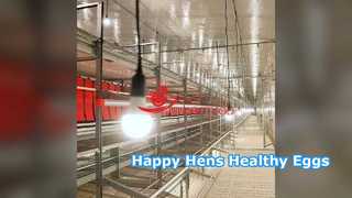 Sistema para aves de corral sin jaulas Natural Instincts