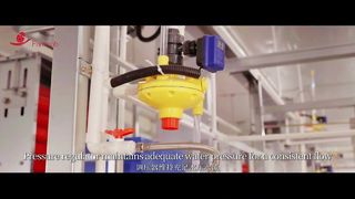Robo de granja | Sistema libre de jaulas #granjaavicola #pollo