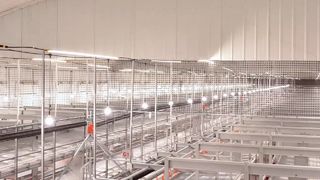 Sistema Farmrob sin jaulas con buen rendimiento