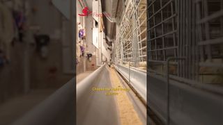 Robo de granja | Comedero de aleación Al-Zn-Mg #granjaavicola #pollo