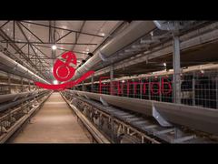 Robo de granja | jaula para criadores de inseminacion artificial